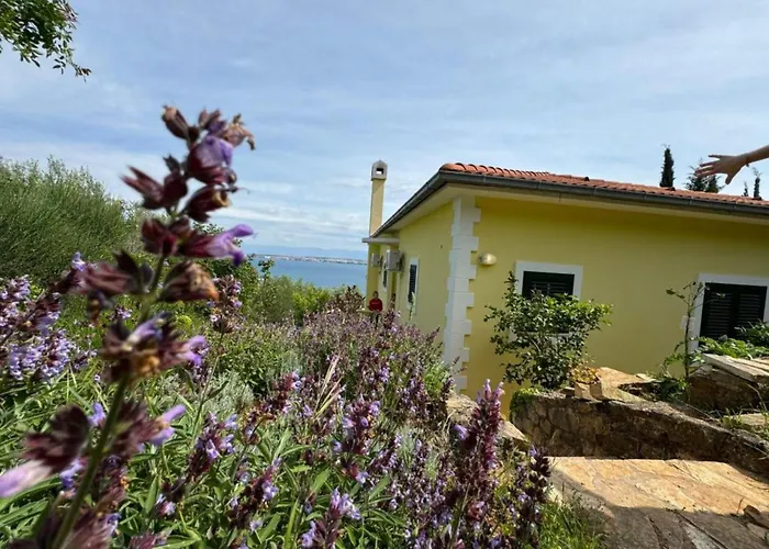 Apartament Family Sofija Preko